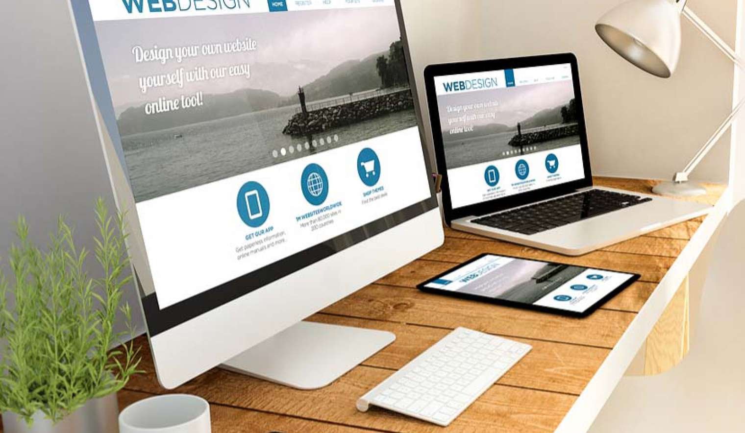 Web Development in Shimla